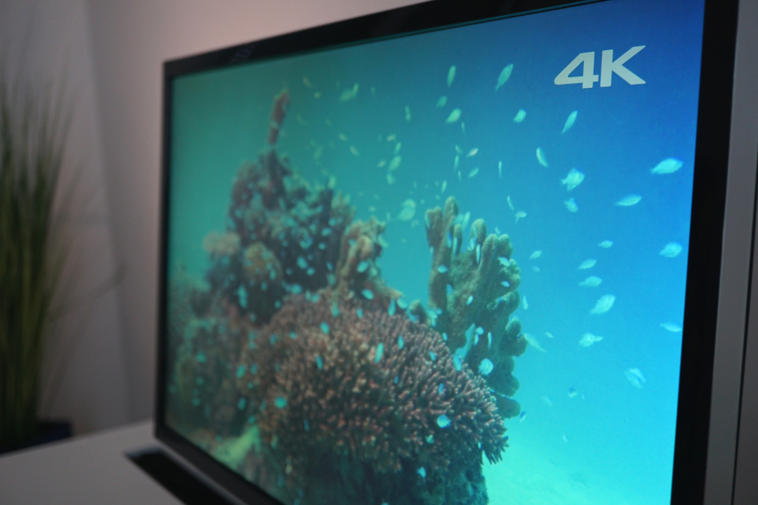 What is the difference between Full HD, UHD and 4K?