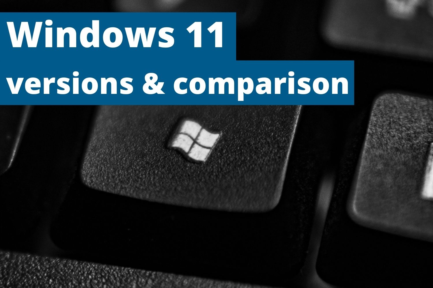 Windows 11 – versions and comparison 
