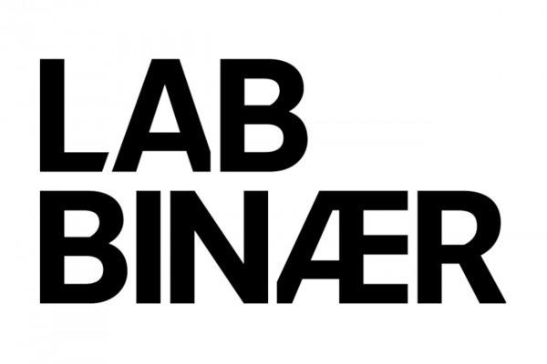 lab_binaer_logo